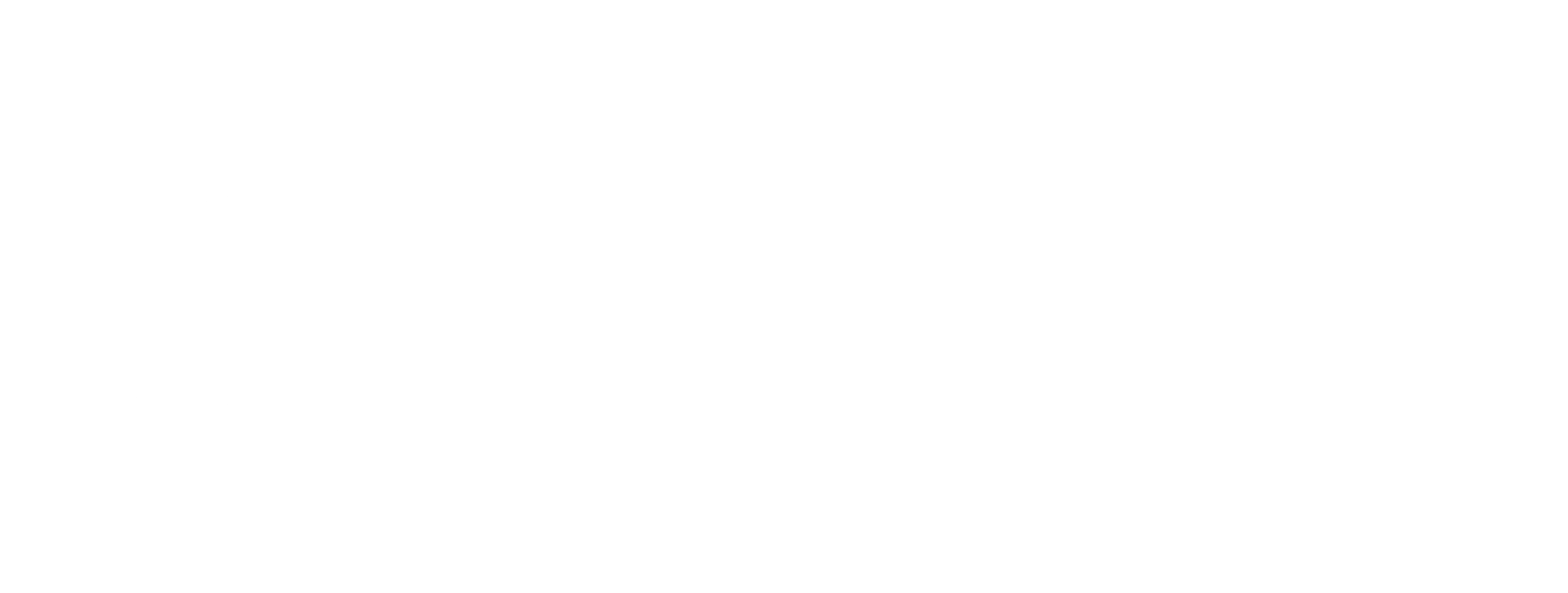 Logo LVD Environnement Mayotte